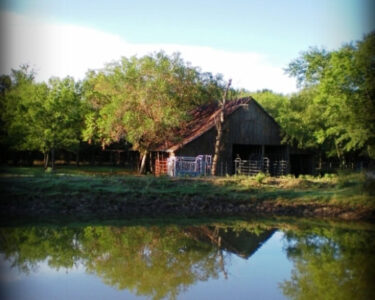 A Texas Rancher’s Homestead Inspiration Image